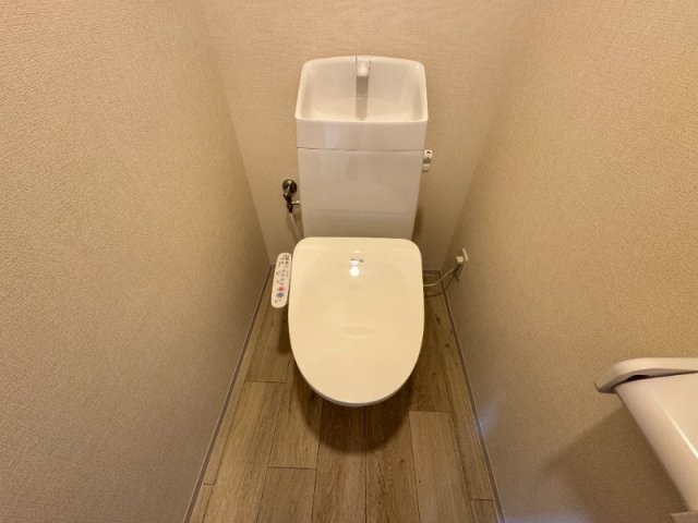 Luxe MAYAのその他写真
