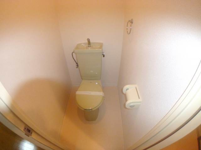 萌NAKATANIのその他写真