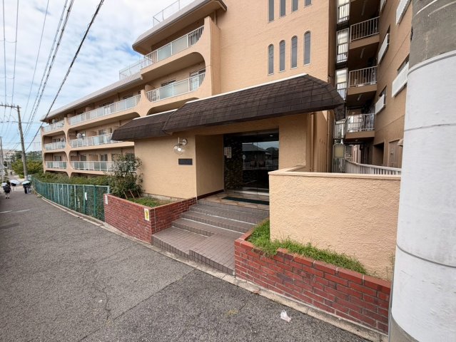 スターハイツ住吉川のその他写真