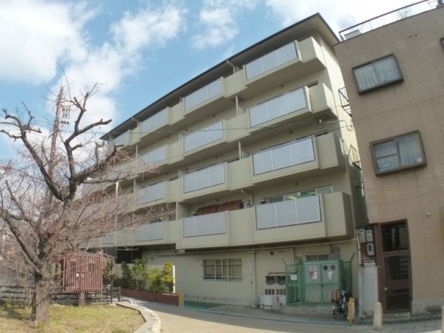 ハウゼケイ魚崎