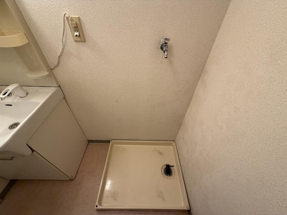 クリスタルパレスのその他写真