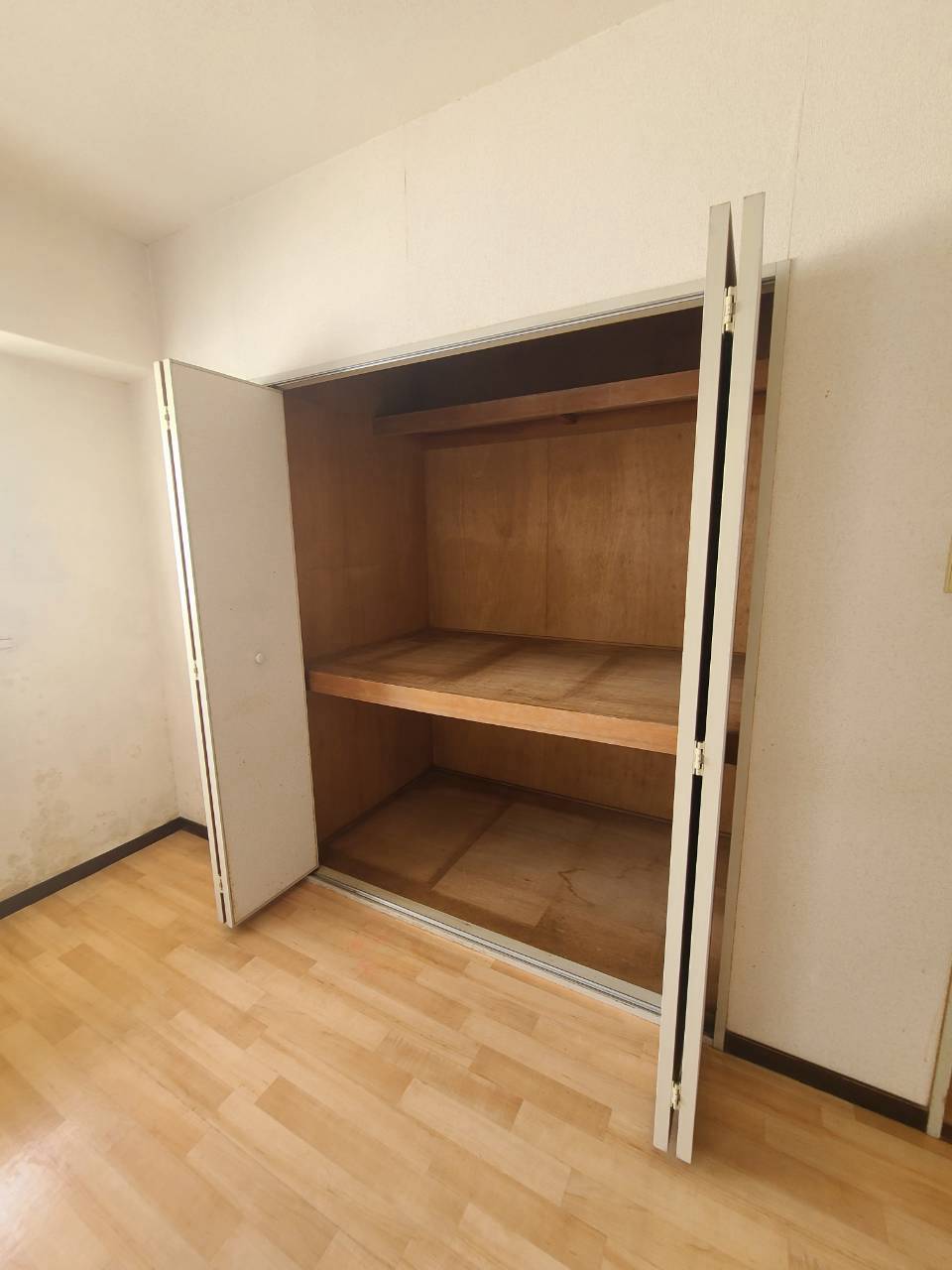 クリスタルパレスのその他写真