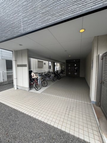 セリージャデトーアのその他写真