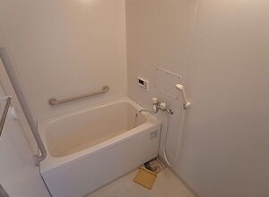サンクチュアリ深江北町の風呂写真