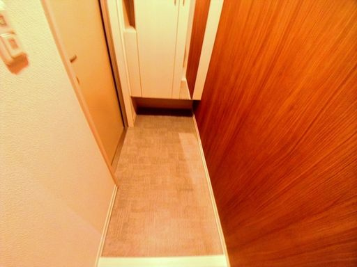 みだ六アパートメントの玄関写真
