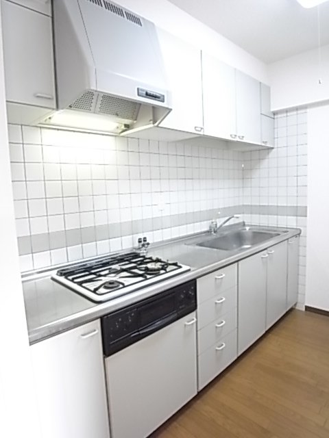 グレイスコート直井のキッチン写真