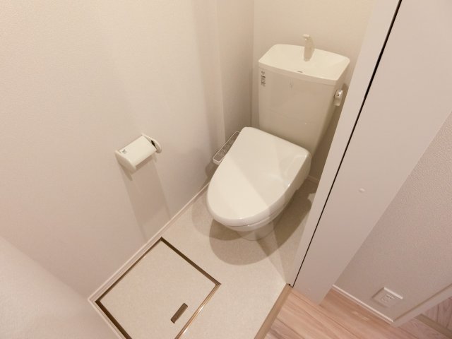 カサキーナのその他写真