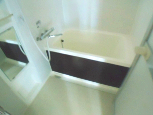 カワベ住吉川338ビルの風呂写真