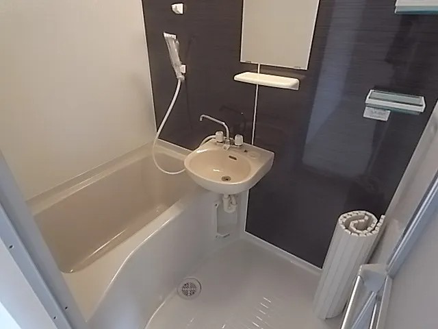 六甲グランドライオンズIIの風呂写真