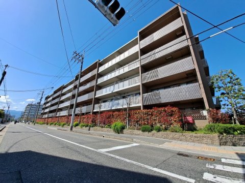 甲子園三番町ハイツの外観写真