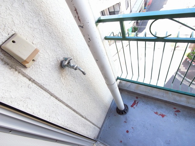 リトルサンシャインのその他写真