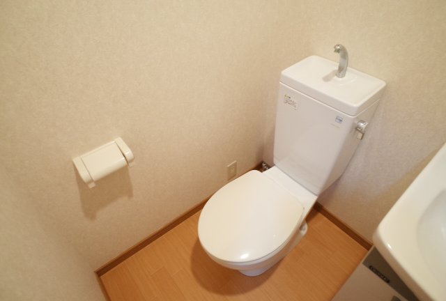 セレブ岡本のその他写真