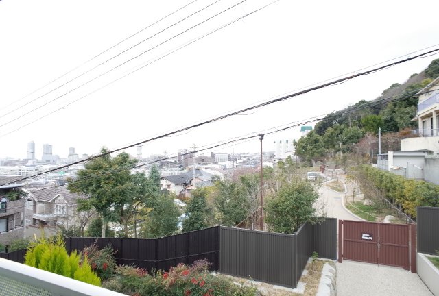 セレブ岡本のその他写真