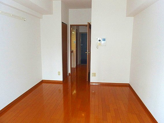 ディナスティ神戸元町通の居間写真