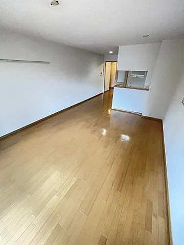 シャーメゾン三宮の居間写真