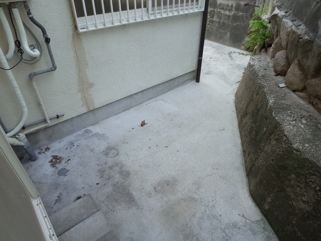 ねむの木のその他写真