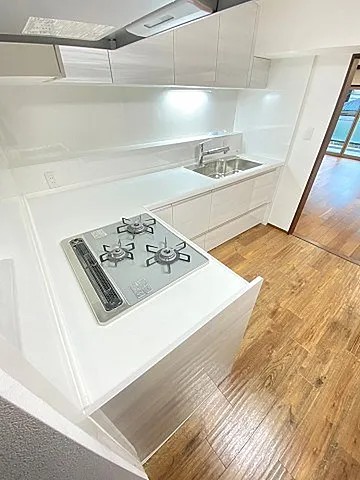 メゾン甲子園のキッチン写真