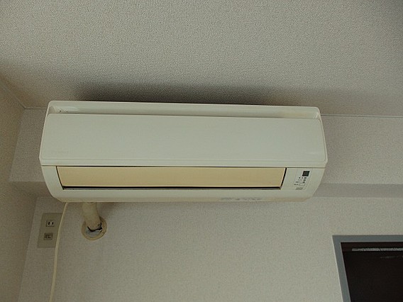 メゾンドゥロイのその他写真