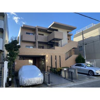 チェリーブロッサム