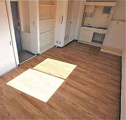 シャルム大石の居間写真