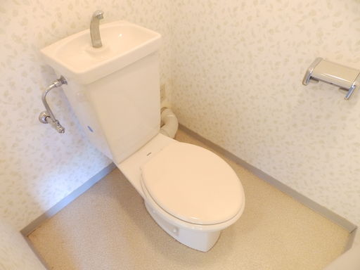 デュコムワイズのその他写真