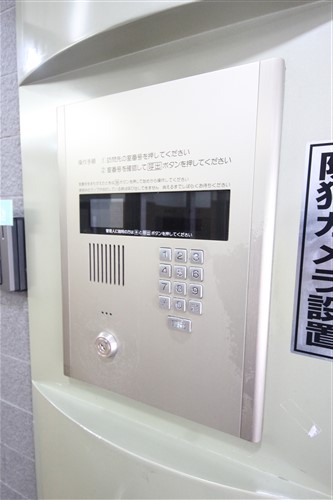 グラスホッパーのその他写真