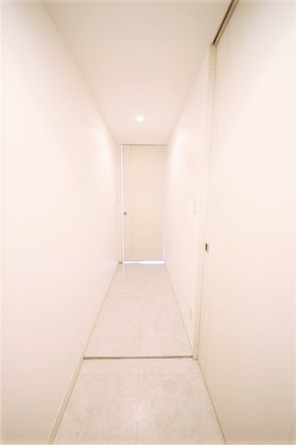 エイペックス東心斎橋Iの玄関写真