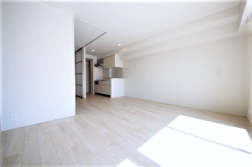 OPUS RESIDENCE SHINSAIBASHI SOUTHの内装写真
