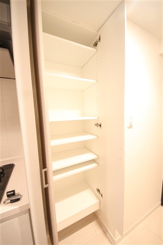 SーRESIDENCE南堀江のその他写真