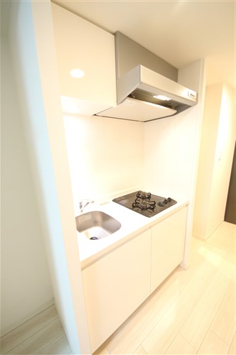 SーRESIDENCE南堀江のキッチン写真