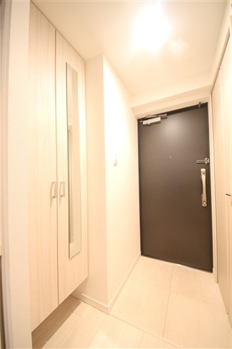 SーRESIDENCE南堀江の玄関写真
