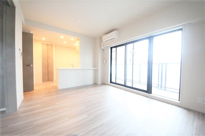 SK RESIDENCES SHINSAIBASHIの居間写真