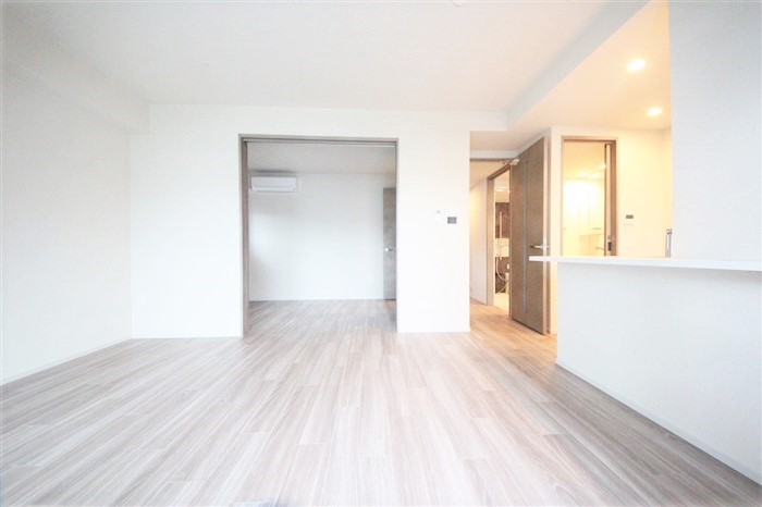 SK RESIDENCES SHINSAIBASHIの居間写真