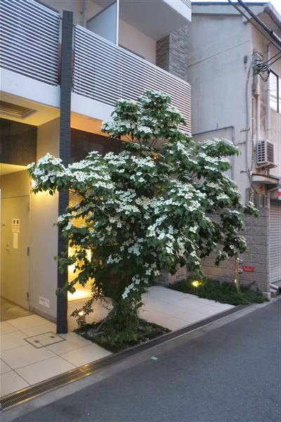 ロイヤルレジデンス北梅田のその他写真