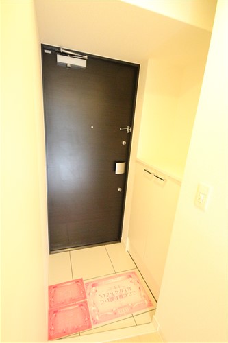 レジュールアッシュ難波MINAMIIIIの玄関写真