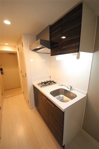 エスリード心斎橋LUXUEのキッチン写真