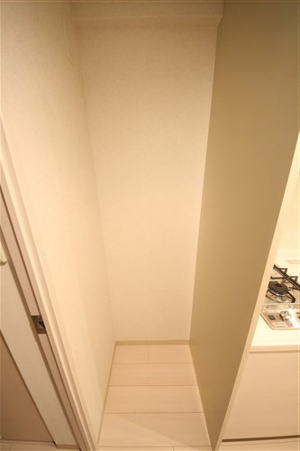 プレサンス心斎橋ルティアのその他写真
