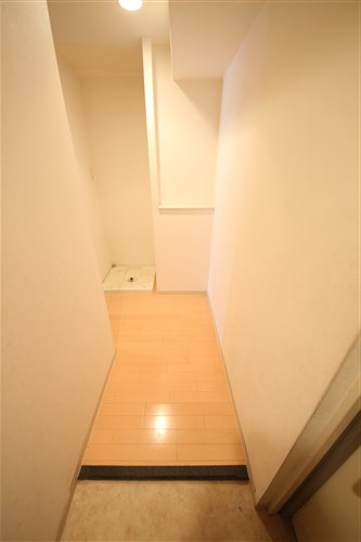 ラナップスクエア阿波座の玄関写真