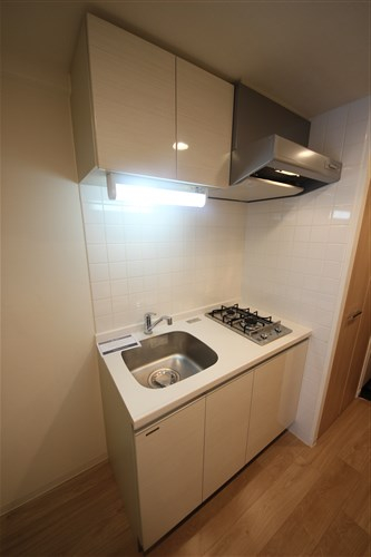 プレサンス松屋町ファステのキッチン写真