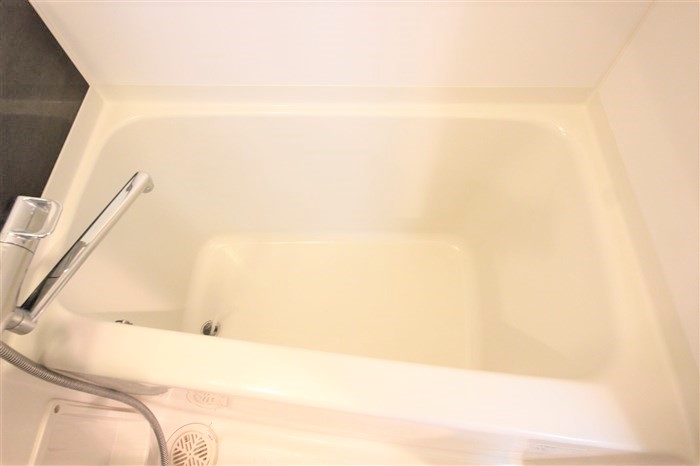 レオンコンフォート本町の風呂写真