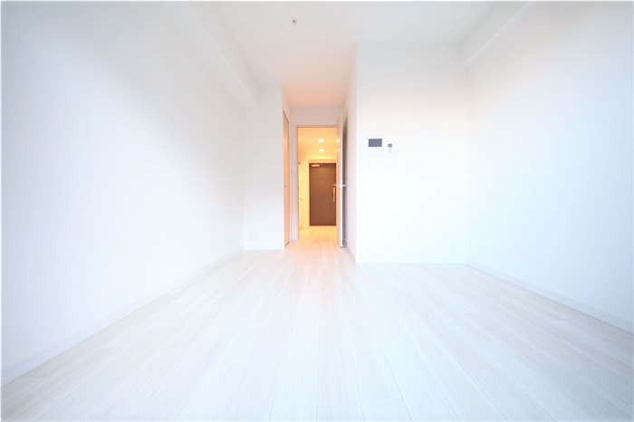 S-RESIDENCE南堀江の内装写真
