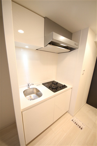 S-RESIDENCE南堀江のキッチン写真