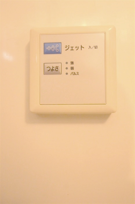 URBAN FLATS中之島のその他写真