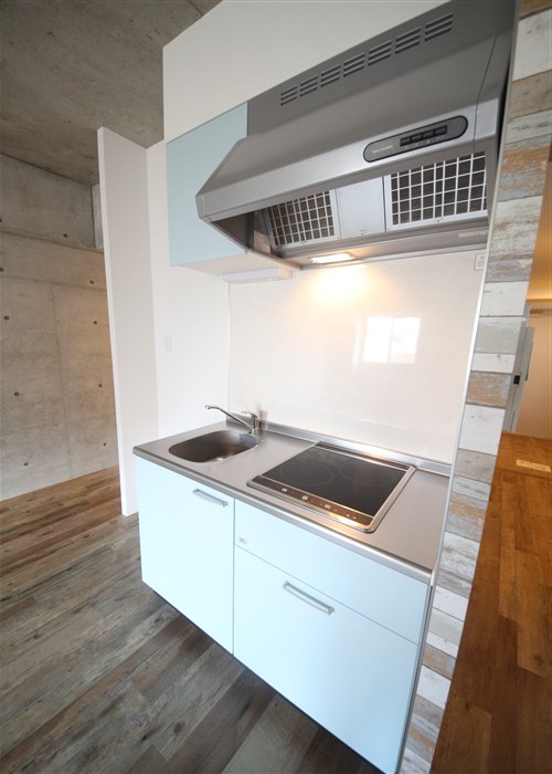 Wolf Pack Apartmentのキッチン写真