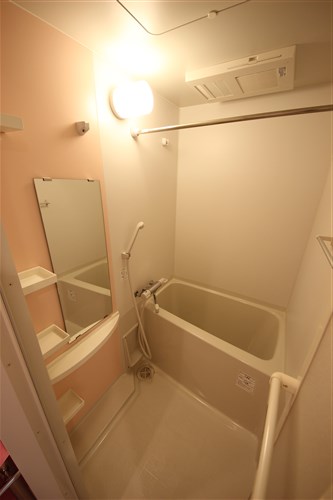 ラシュレエグゼ難波西の風呂写真