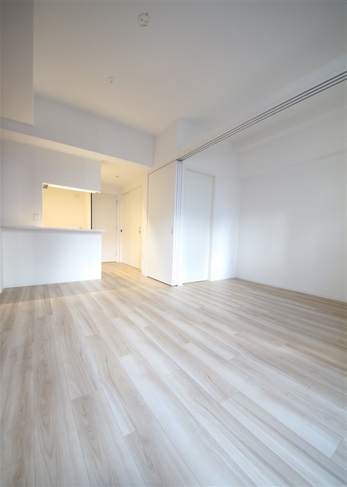 セレニテ堺筋本町リアンの居間写真