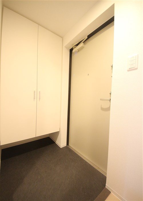 セレニテ堺筋本町リアンの玄関写真