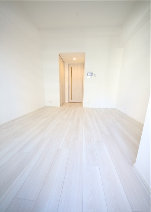 S-RESIDENCE難波大国町Unoの居間写真