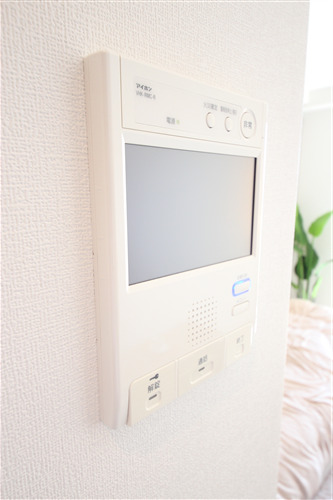スプランディッドIIのその他写真