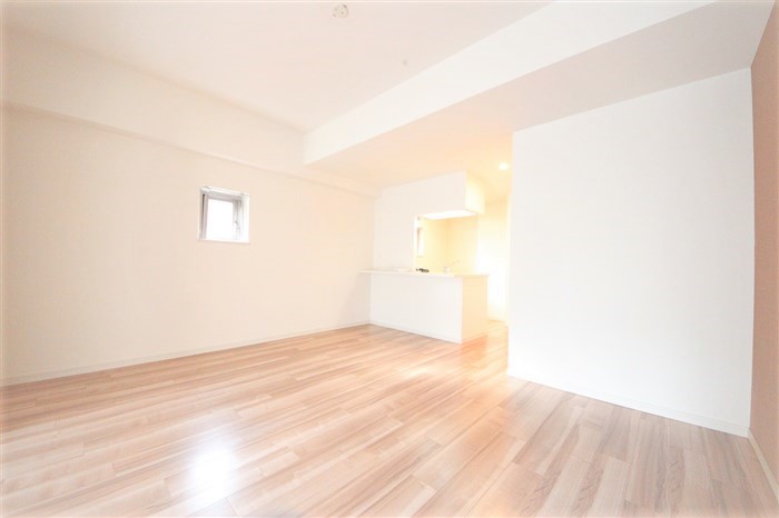 スプランディッド淀屋橋DUEの居間写真